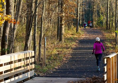 LHTrail in the Fall