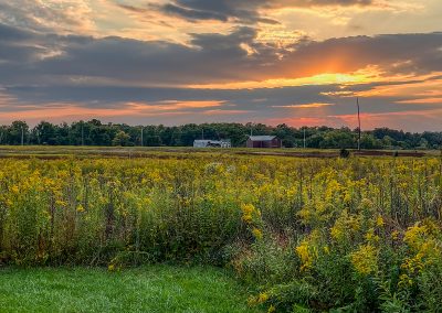 LHT Photo Contest submission