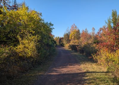 LHT Carson Road Woods Fall 2024
