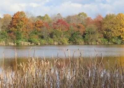 LHT Rosedale Lake, Fall