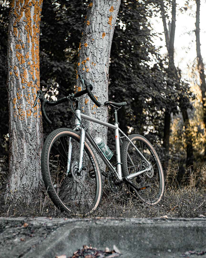 Bicycle against Tree